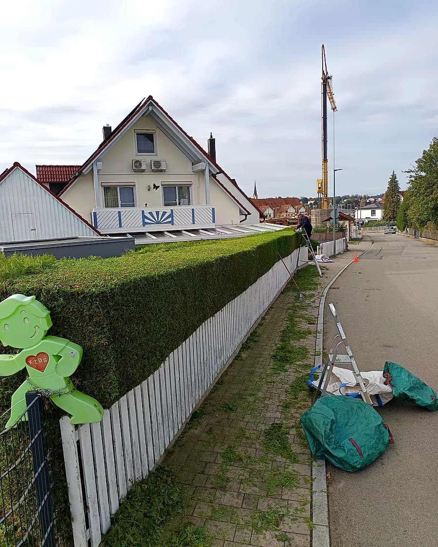 Heckenschnitt an der Straße, Mitarbeiter auf der Leiter