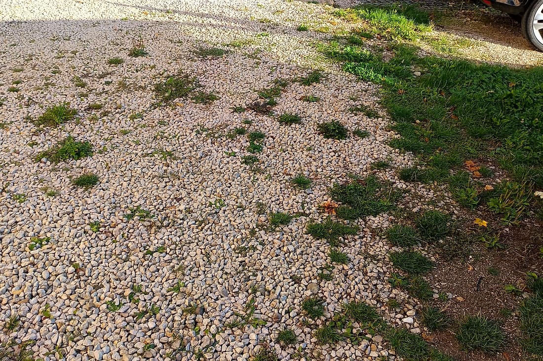 Kiesfläche von Unkraut befreit: vorher